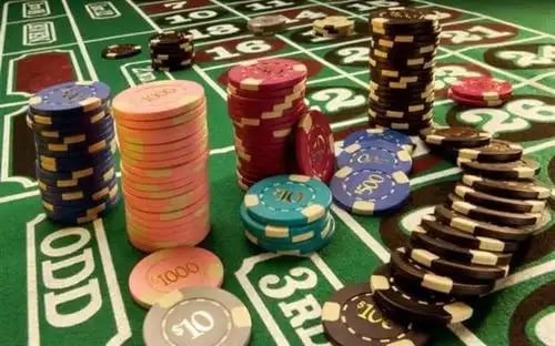 5565 bet 5565 bet